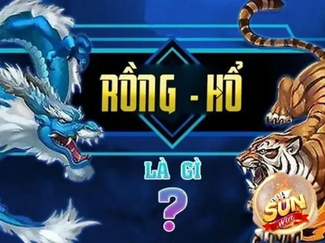 Tổng hợp mẹo chơi Rồng hổ Sunwin mới nhất 2024 cho tân thủ 2 Các loại chơi cá cược trong rồng hổ